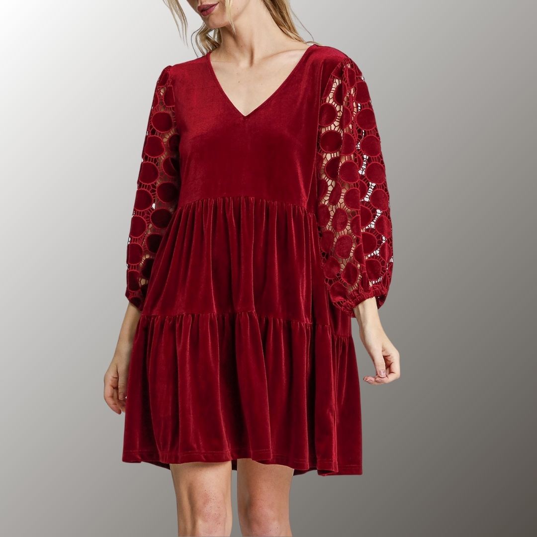 Wine Velvet Dress